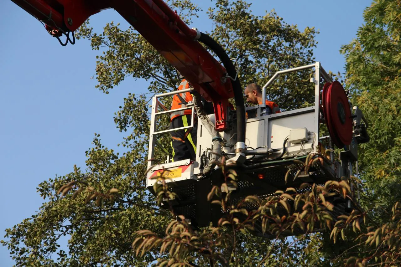 photo 2017 10 16 17 33 16