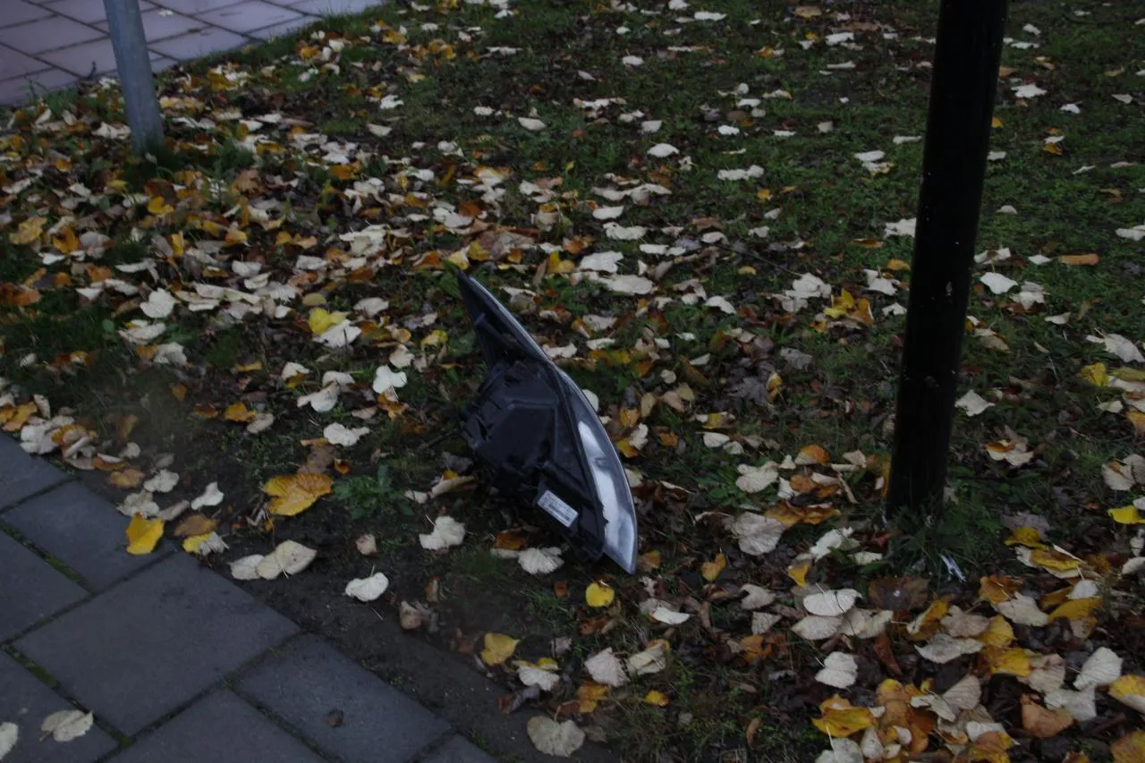 photo 2017 11 20 09 13 39