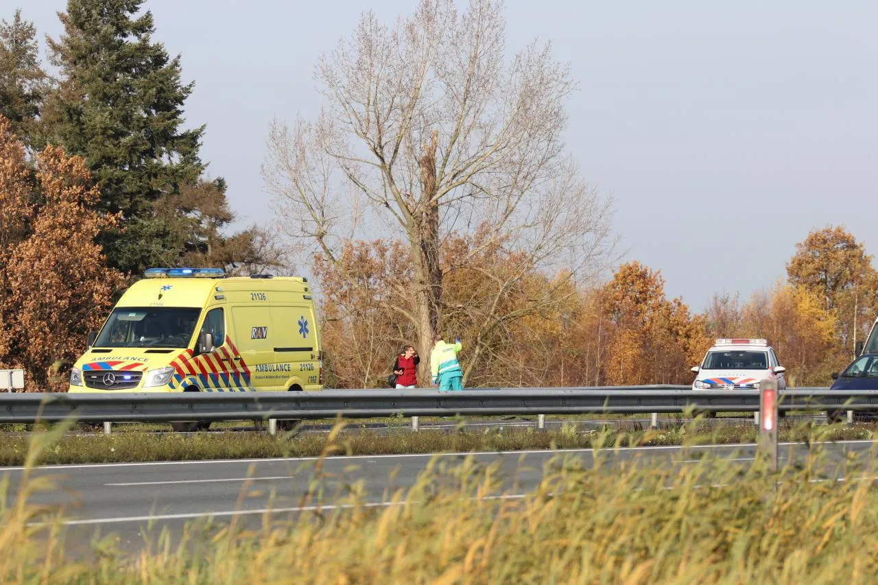 photo 2017 11 22 15 56 24