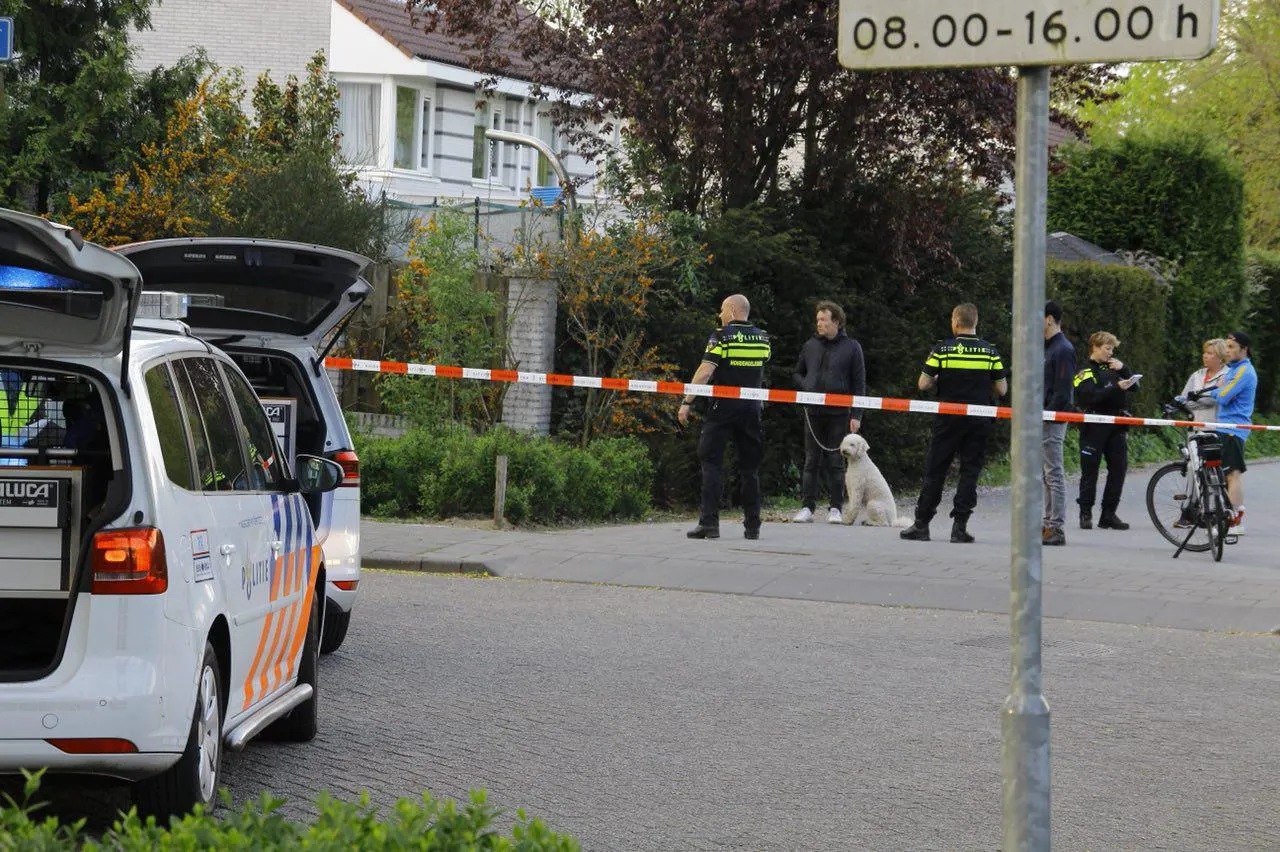 photo 2018 04 25 20 29 26