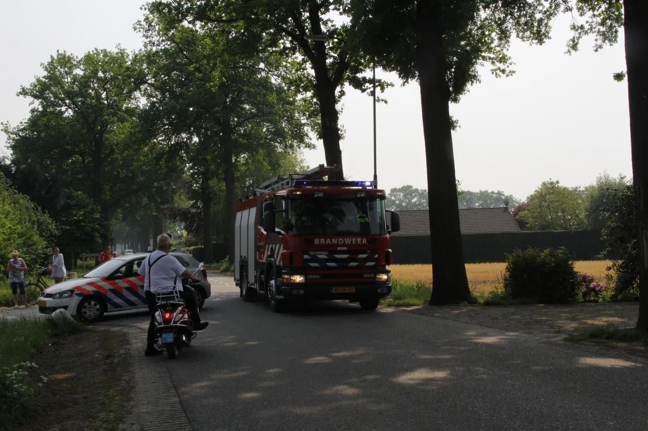 photo 2018 05 09 15 55 08