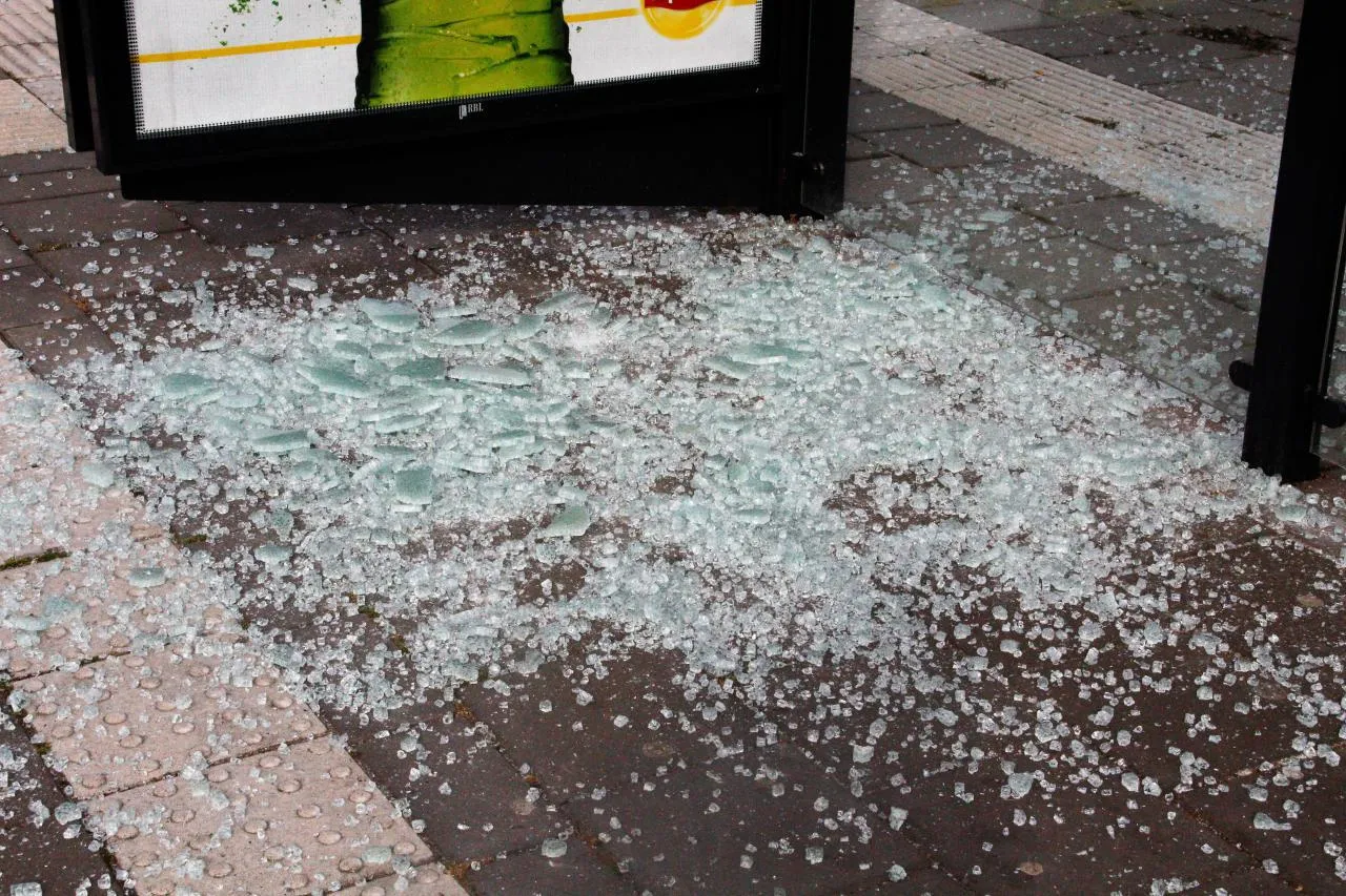 photo 2018 05 12 18 14 54