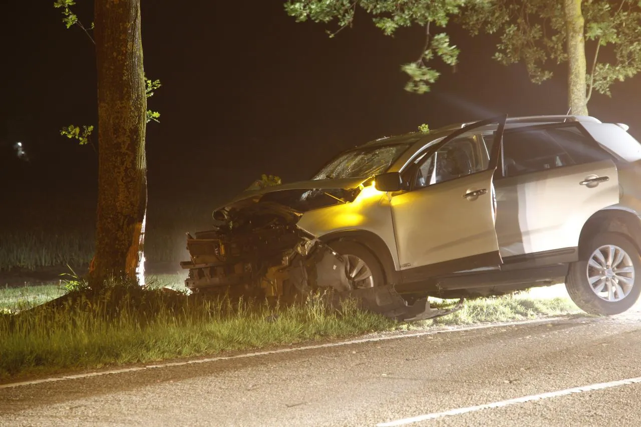 photo 2018 05 14 02 30 58