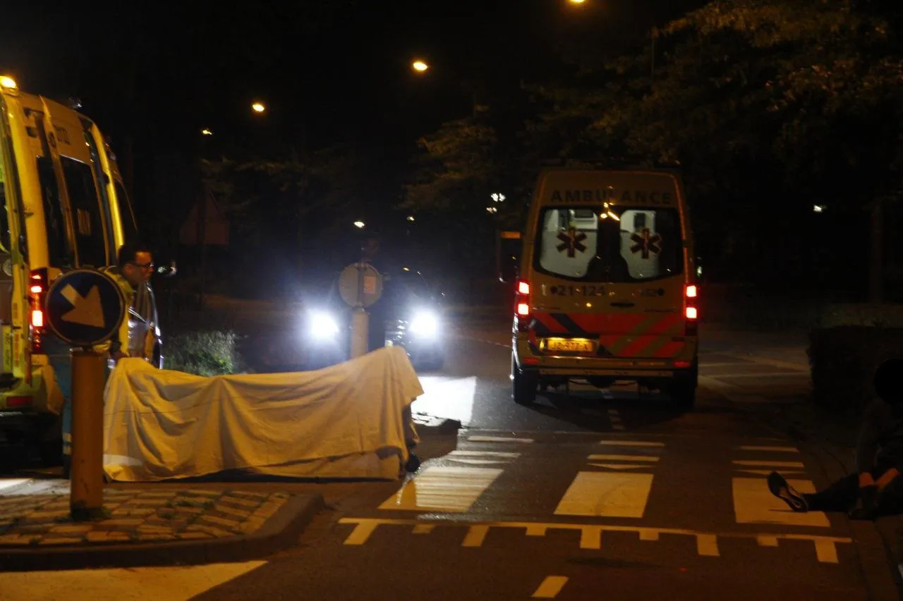 photo 2018 09 07 02 03 40