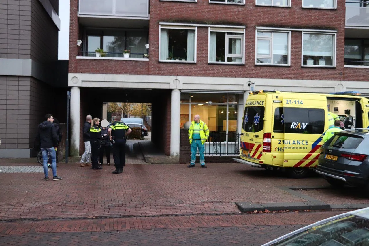 photo 2018 11 12 16 23 17