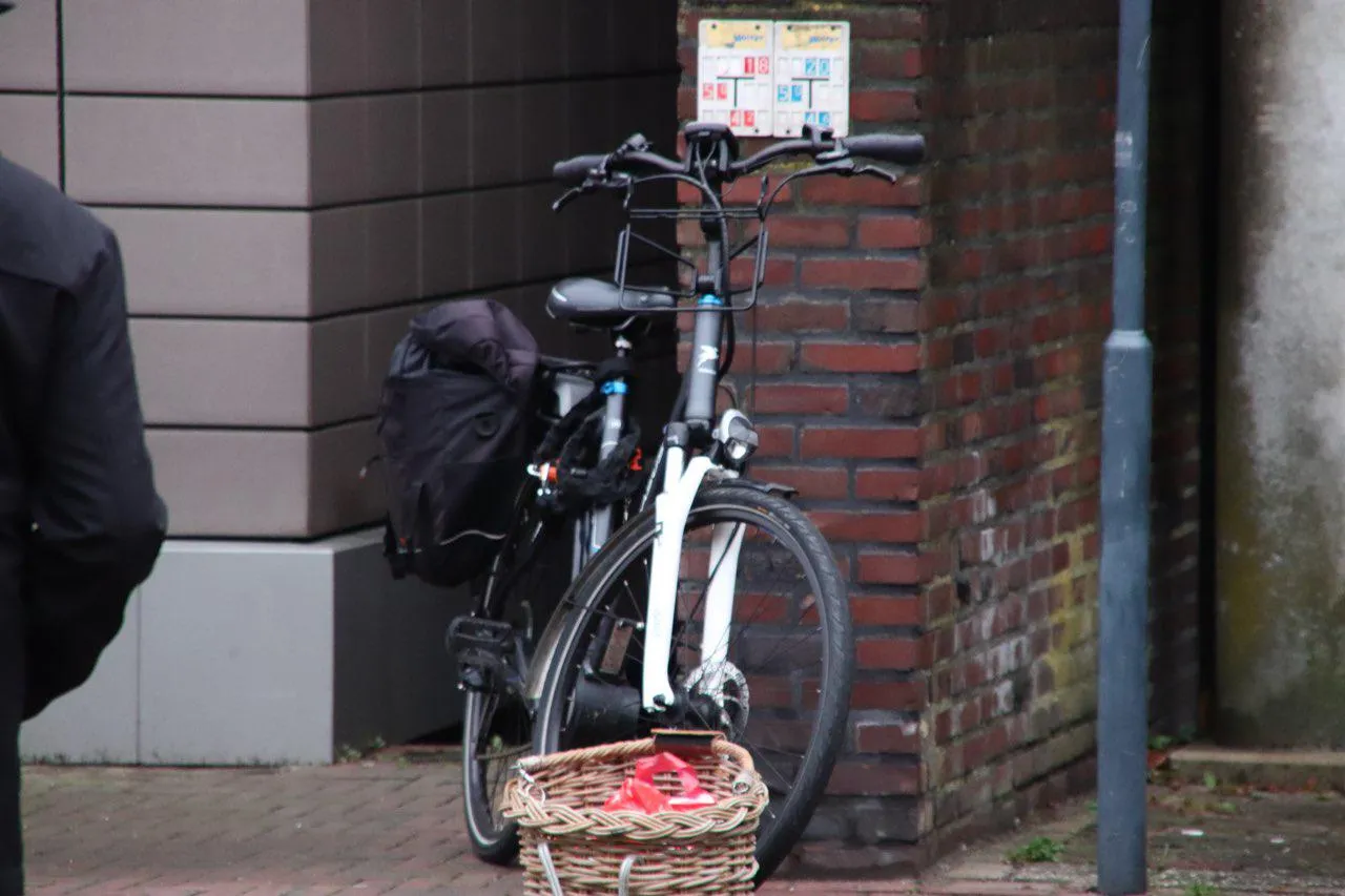 photo 2018 11 12 16 23 25