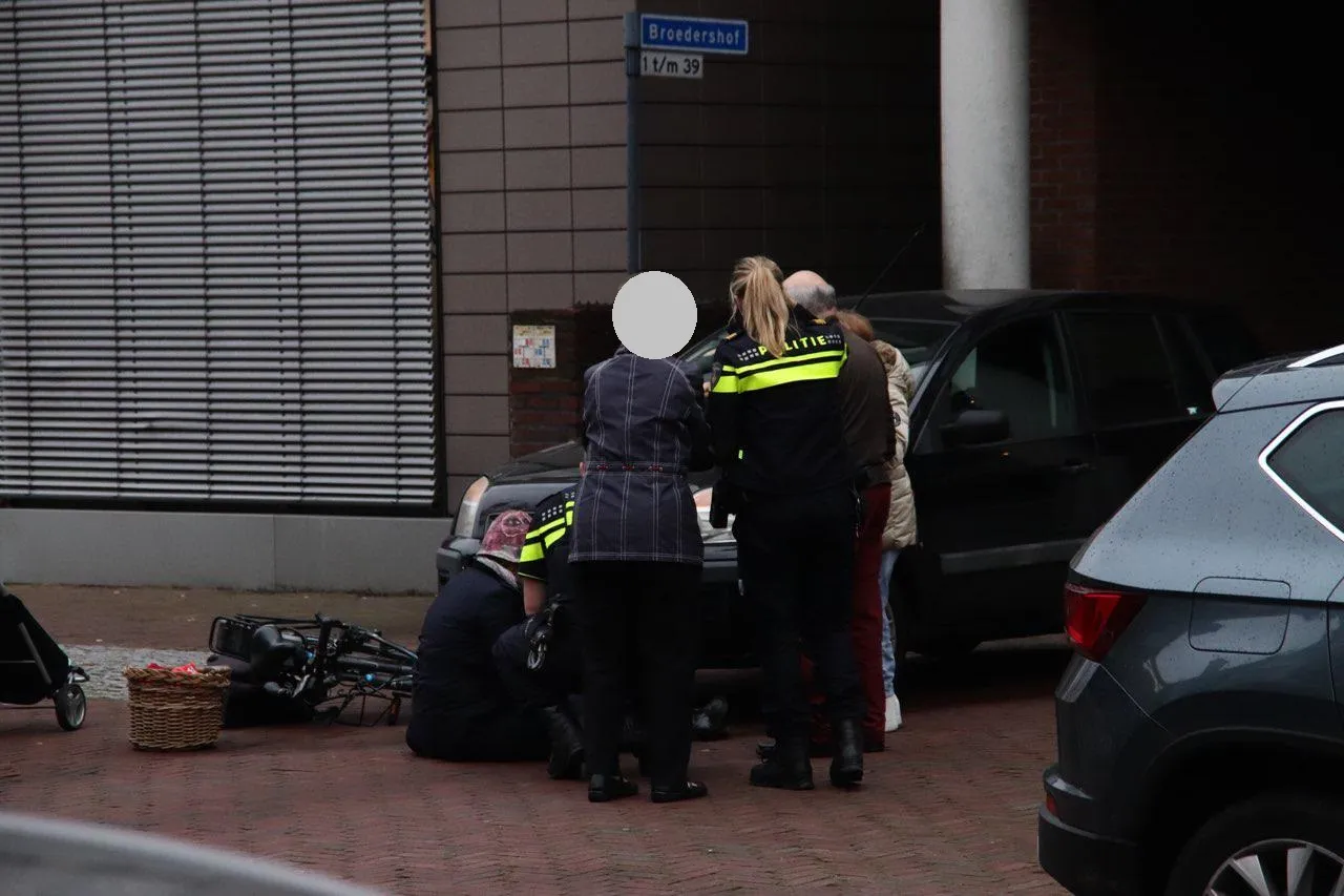 photo 2018 11 12 16 23 29