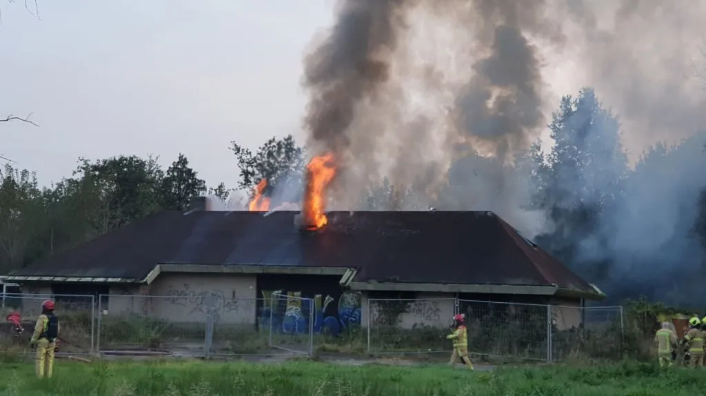 photo 2023 10 08 19 09 21