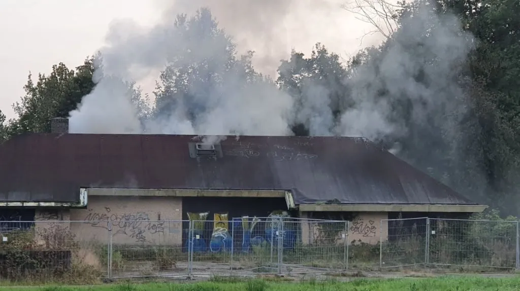 photo 2023 10 08 19 10 41