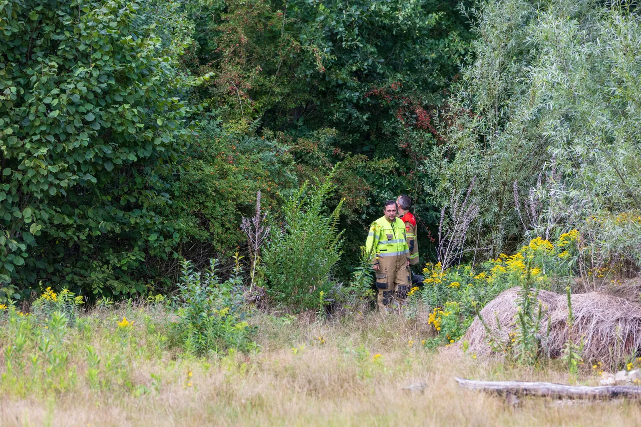 05-08-2025 Dier op hoogte Eerde 02
