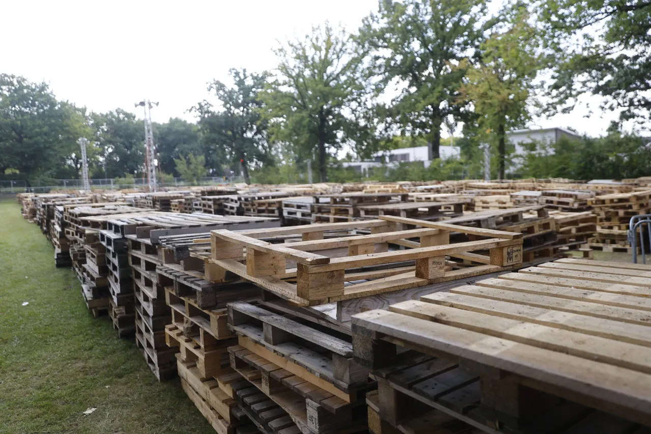 10-08-2025 Veghel in Hout 09