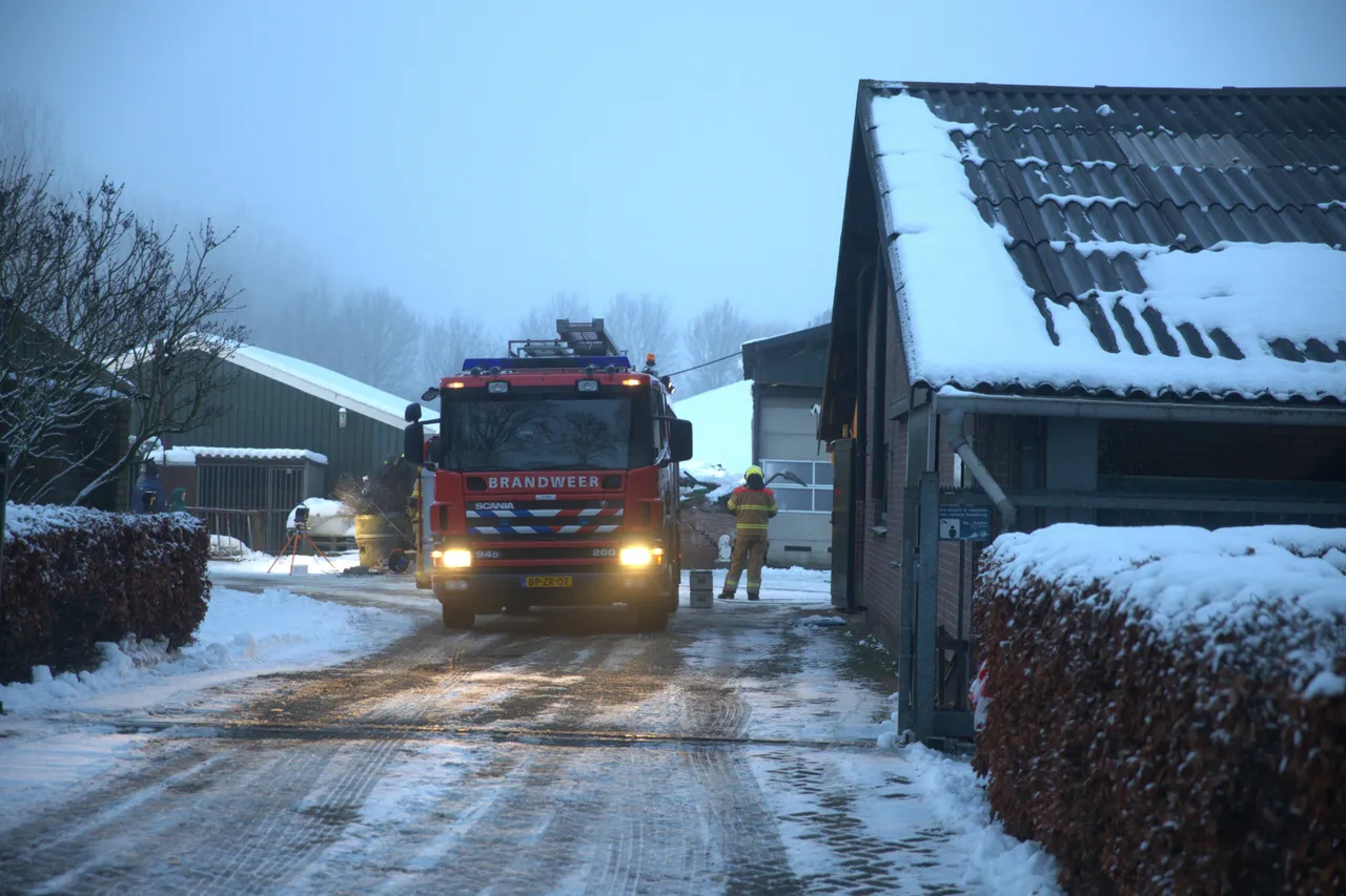 06-01-2026 Instorting stal Dorshout Veghel 02