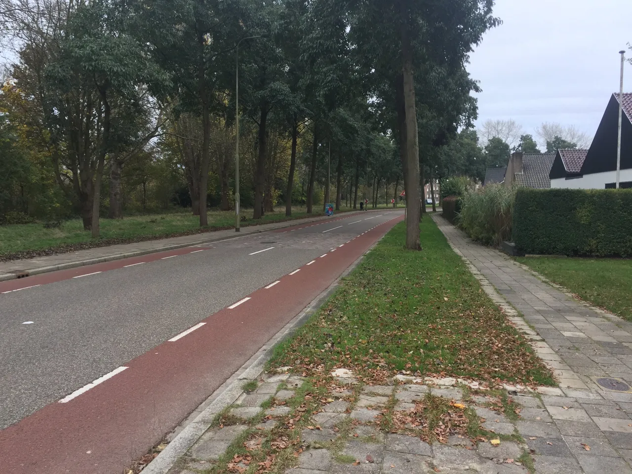 20211110 143355361 ios