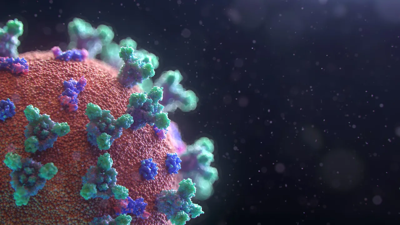 fusion medical animation eaggqoiddmg unsplash