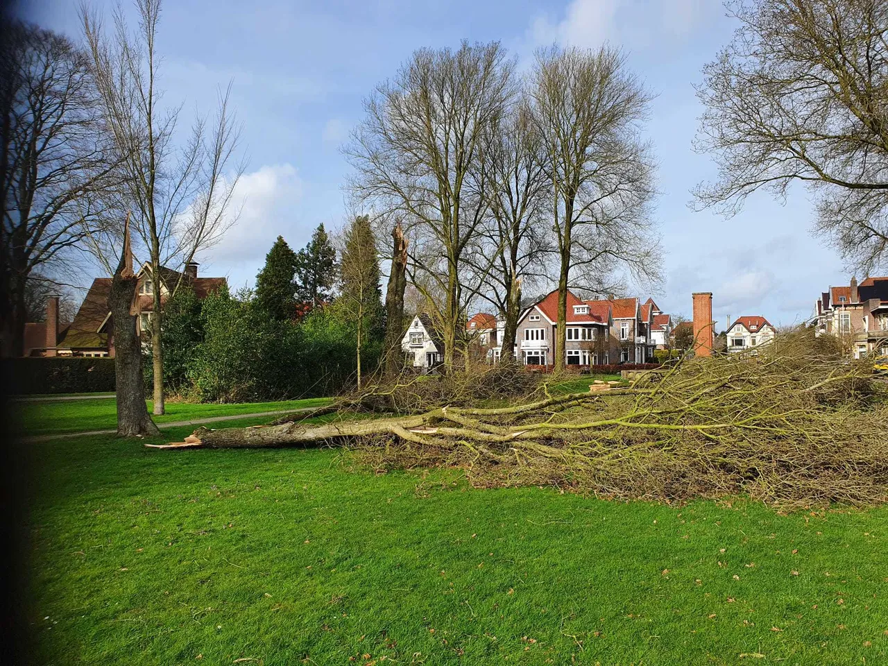 wilhelminapark afgesloten