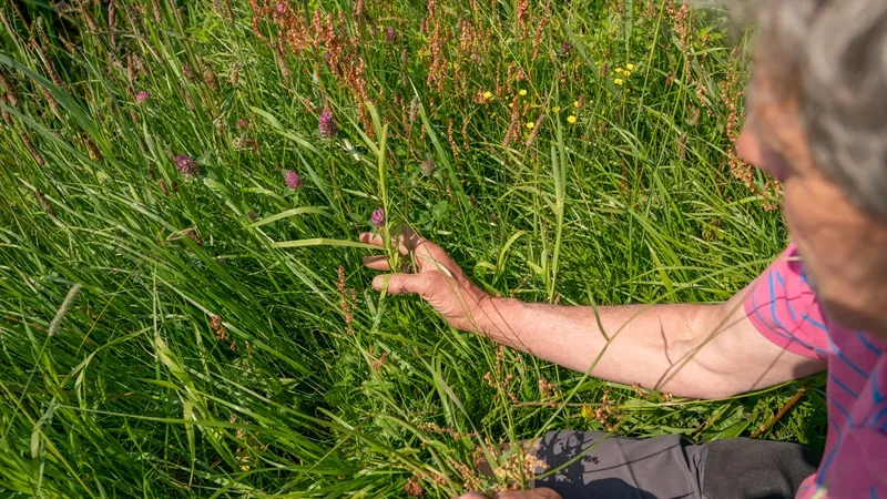 boer flinkert 1 van 1 6