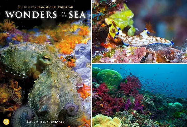 week201920 20wonders20of20the20sea
