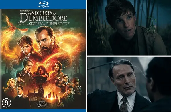 week203420 20fantastic20beasts20the20secrets20of20dumbledore