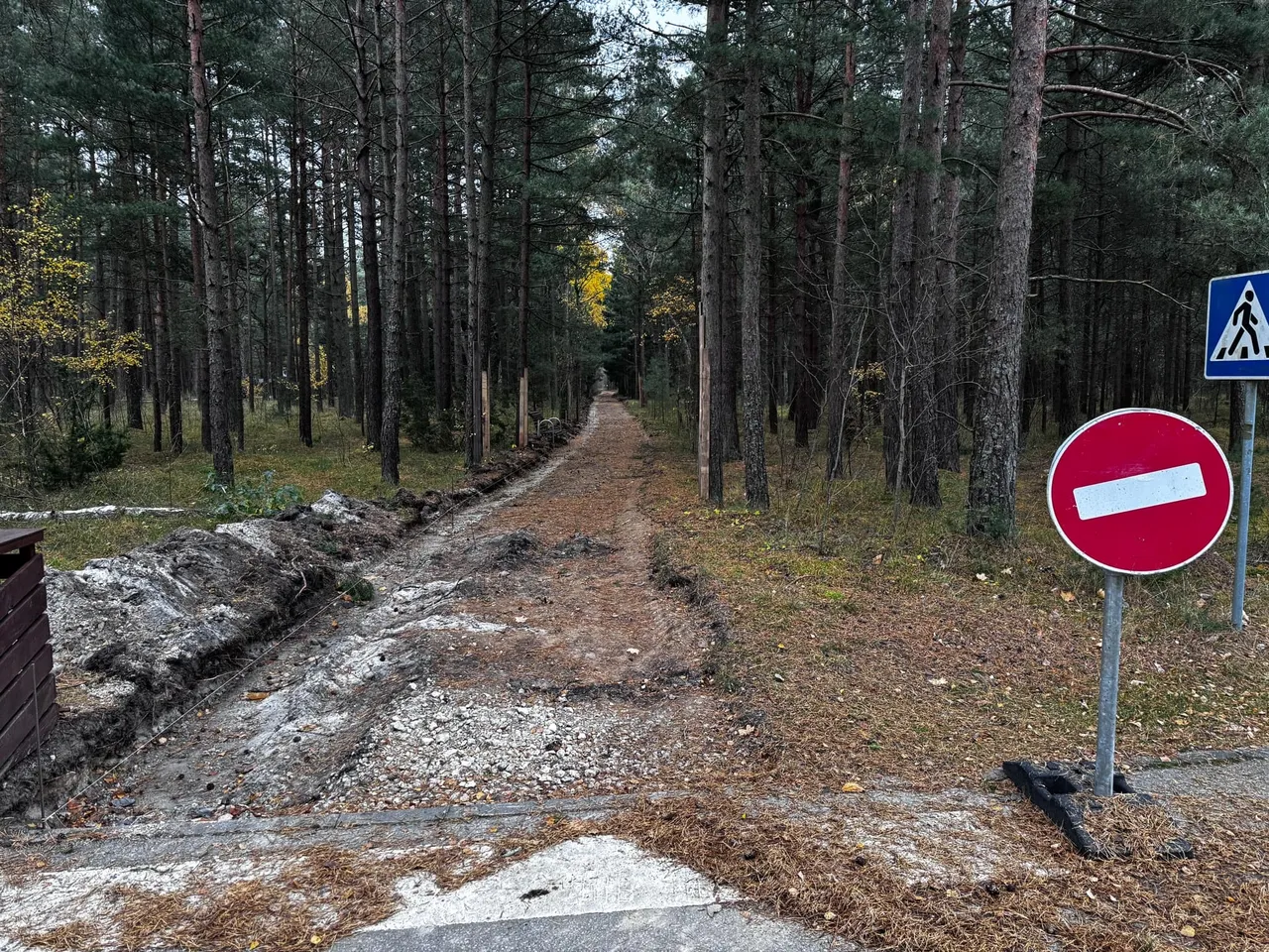 Pėsčiųjų takas iš šiaurinio paplūdimio link Purvynės / „Kas vyksta“ nuotr