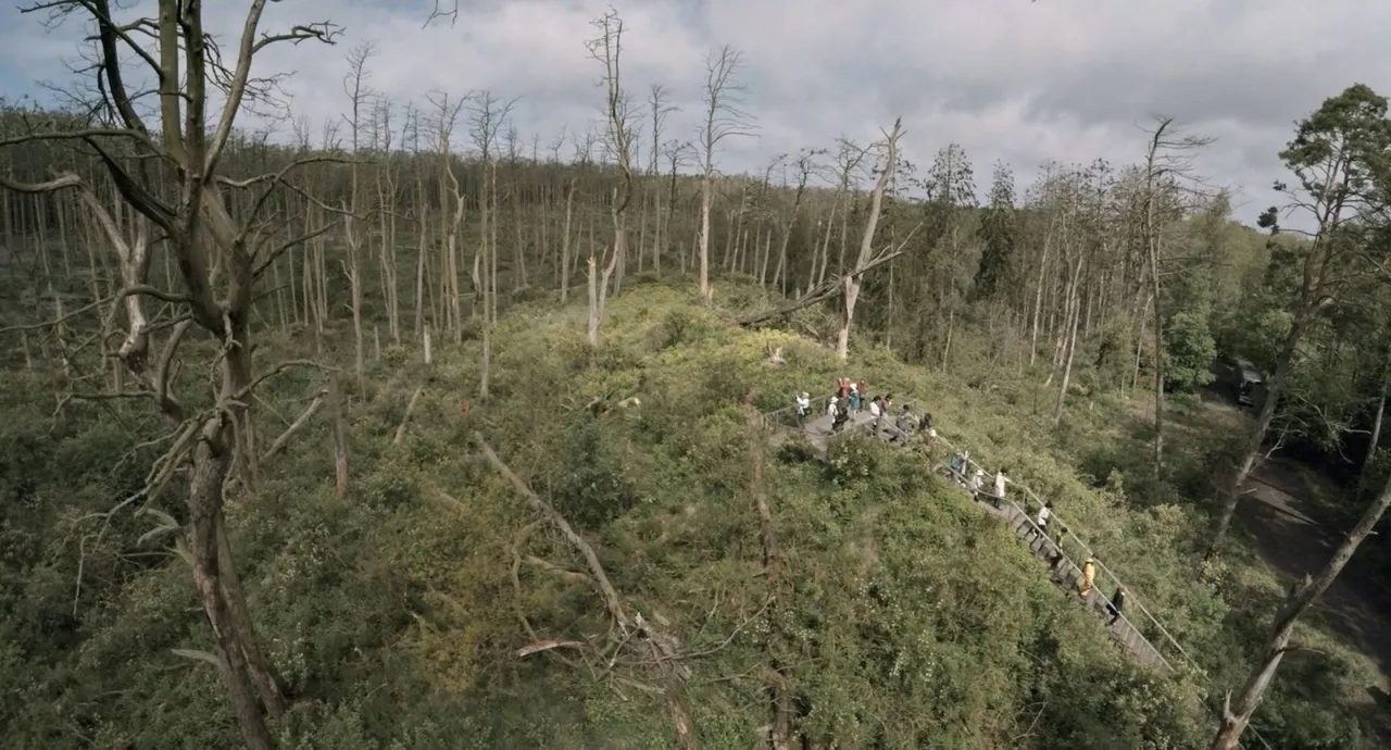 Kino filmavimas / Lietuvos kino centro nuotr.