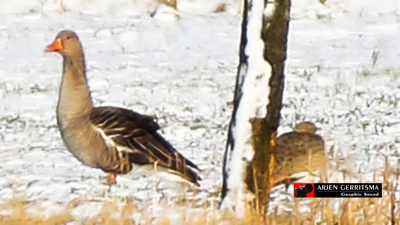 2015 01 24 de kleine trap 1