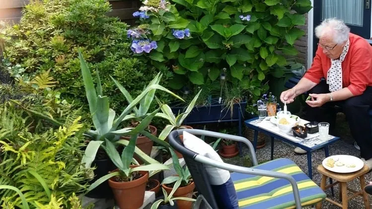 2015 09 26 hovenier helpt satter 1