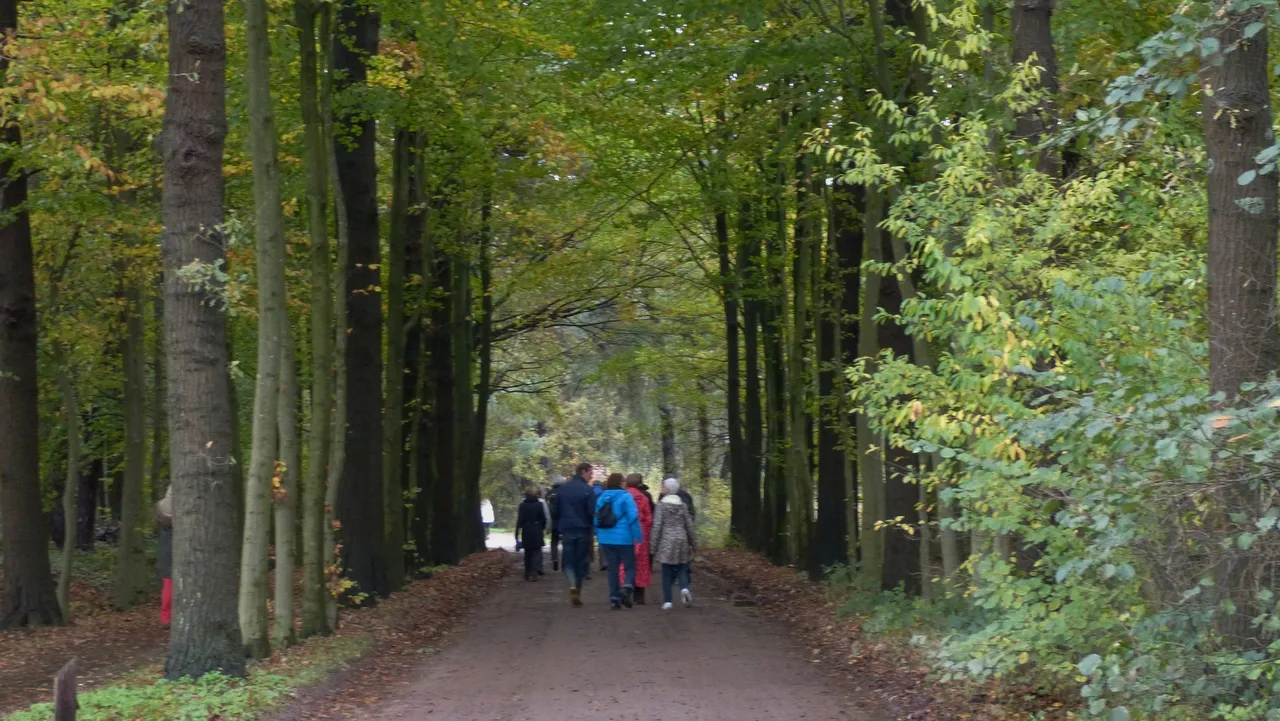 2015 10 13 natuurlijk bewegen