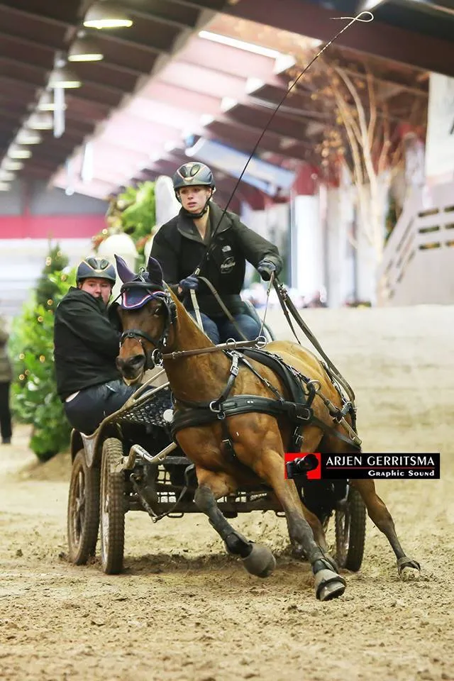 2015 11 07 marissa schuiling 2015