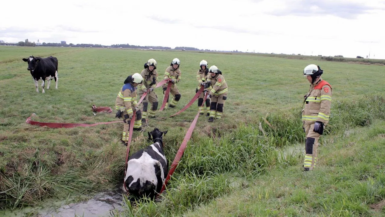 2016 10 08 ongeal zeedijk oe uit sloot 2