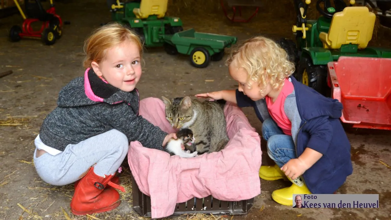 2017 08 30 kinderboerderij de ark poes aaien