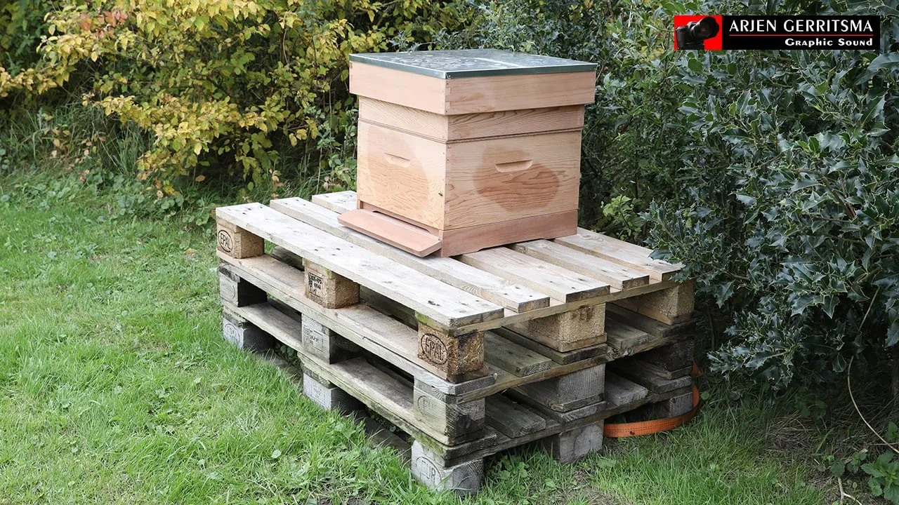 2017 09 14 bijenkast corlaer 01