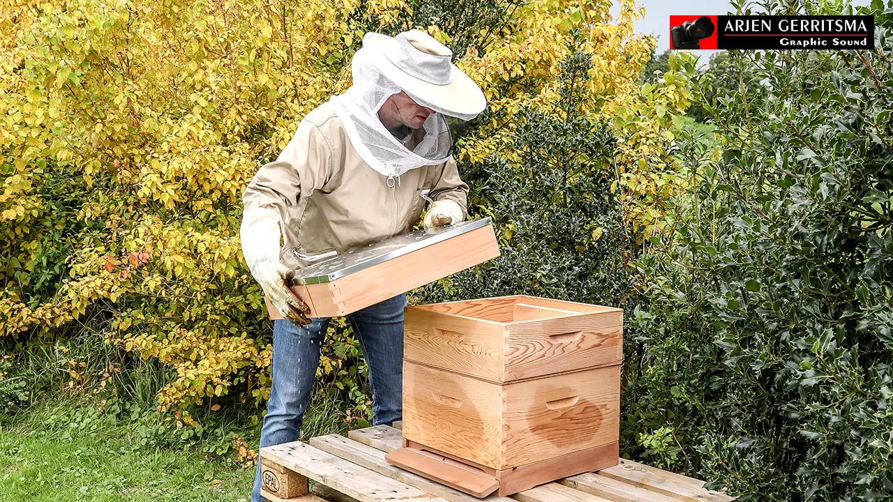 2017 09 14 bijenkast corlaer 05