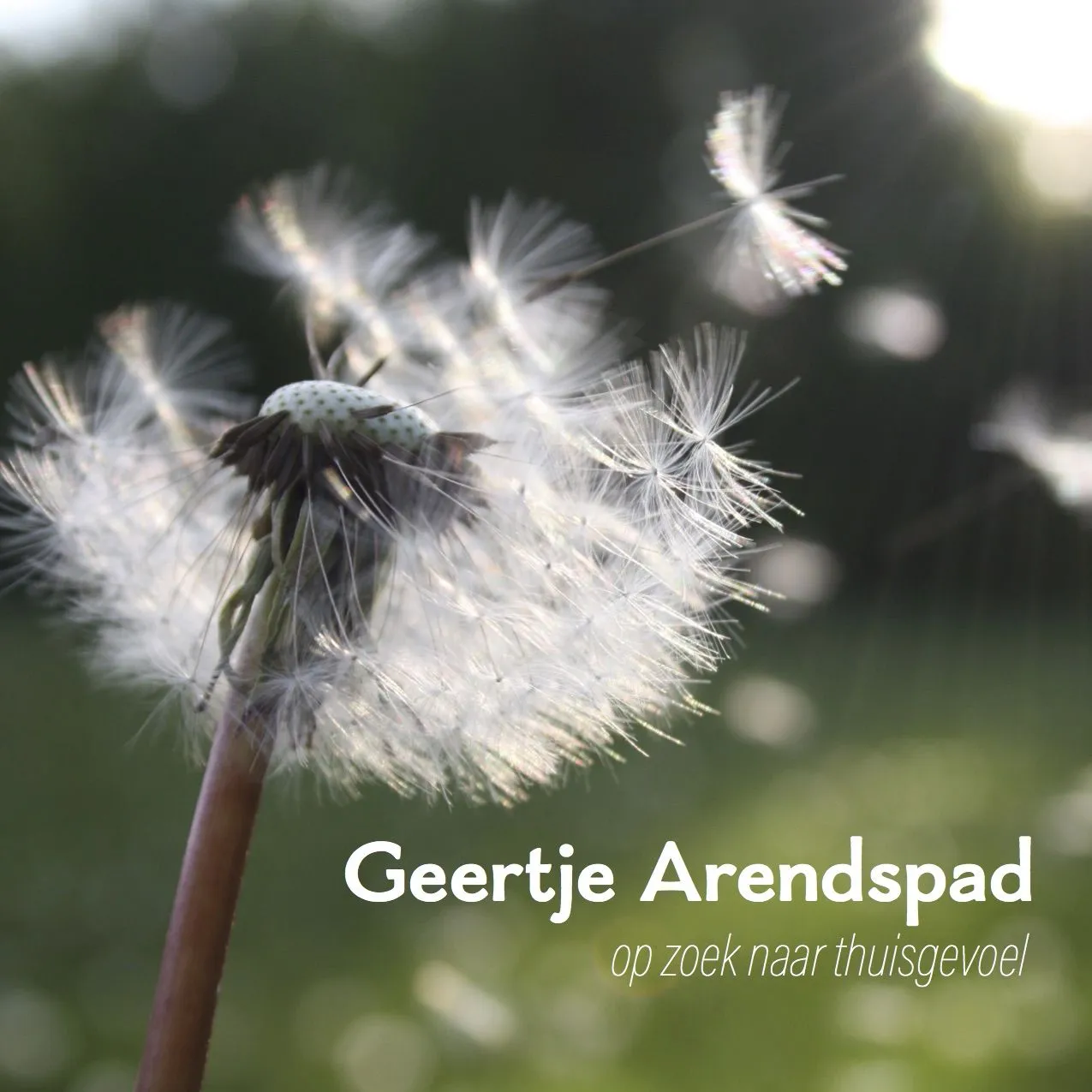 2017 09 20 geert arendspad