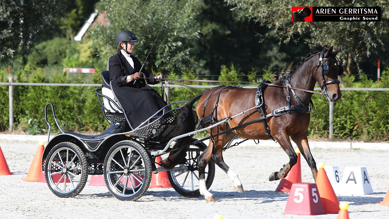 2017 09 23 hippiade mennenl 015