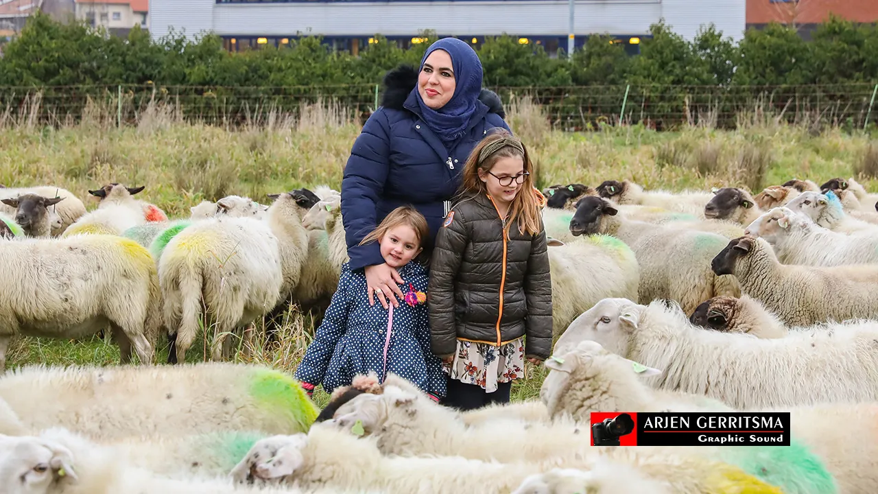 2018 12 05 schapenn 010