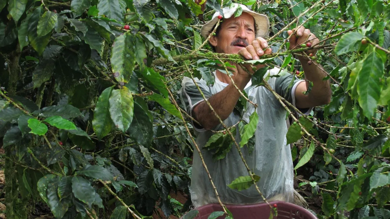 2018 12 17 zwarte koffie 1