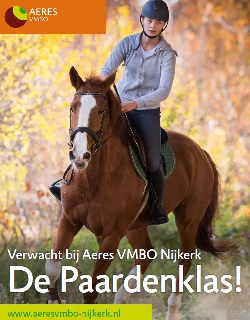 2019 01 21 paardenklas staand flyer krant