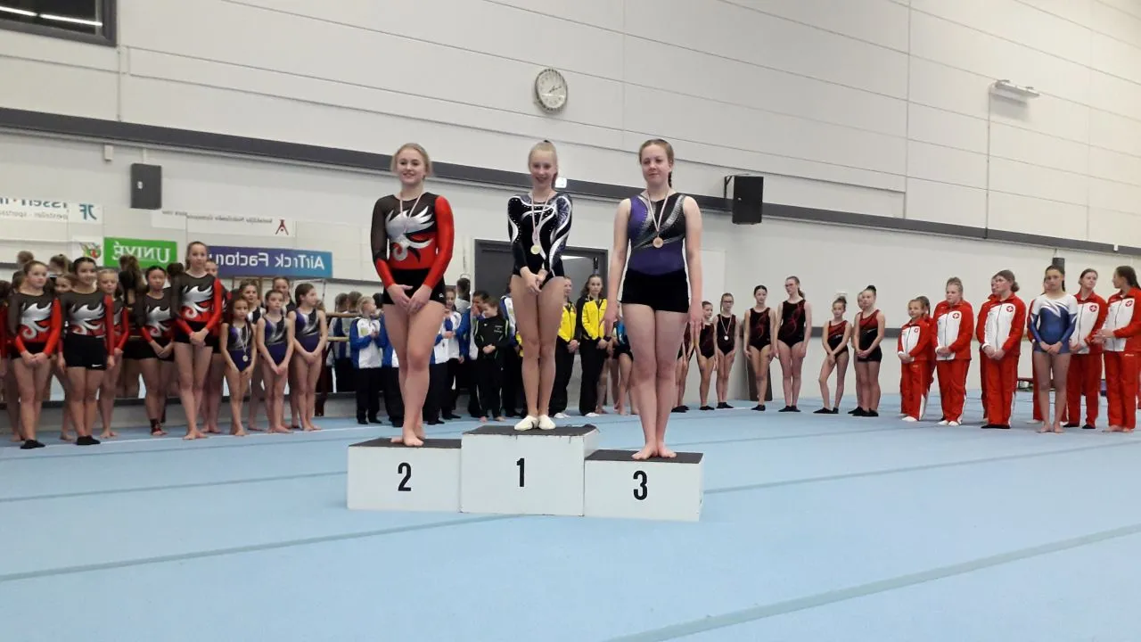 2019 03 17 excelsior 1