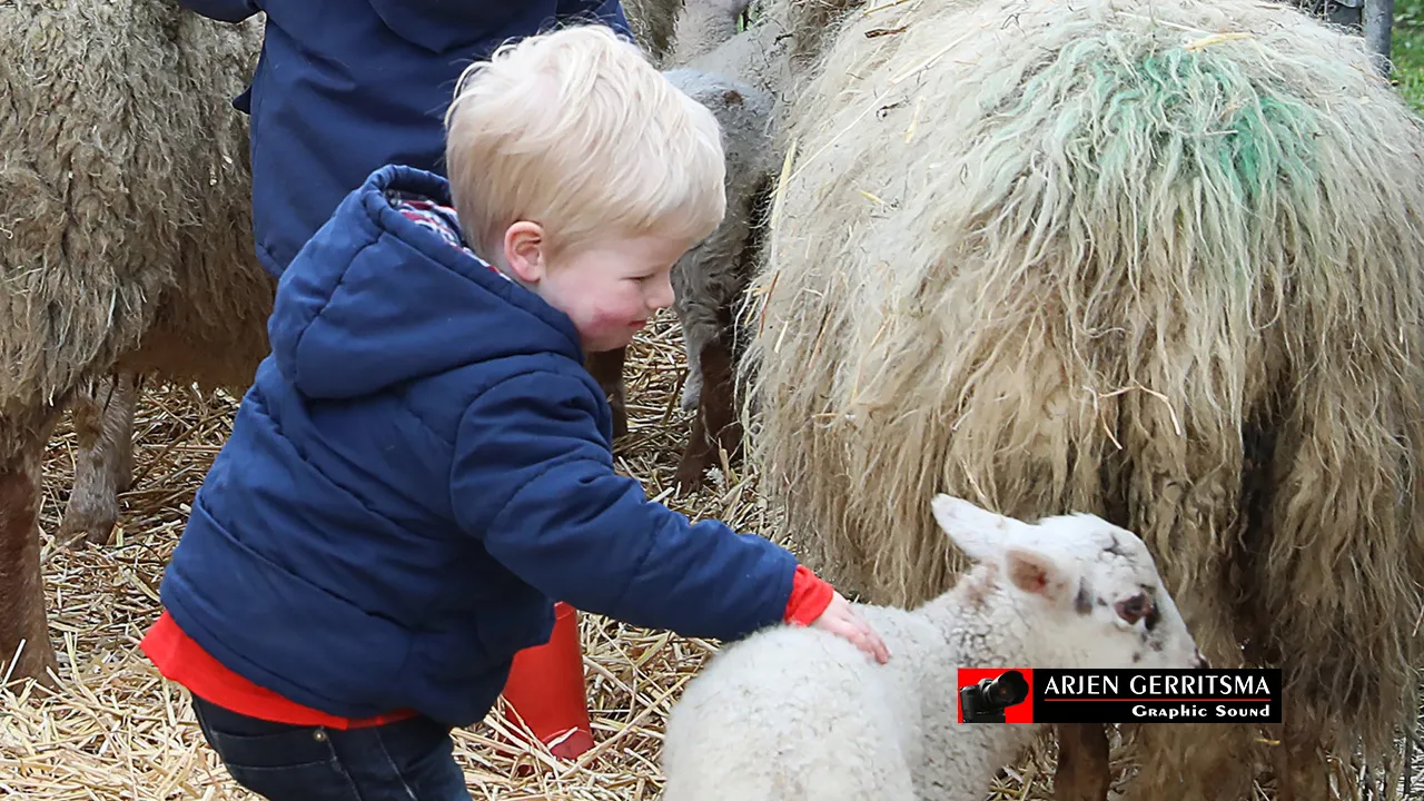 2019 03 2 lammetjesdag 014