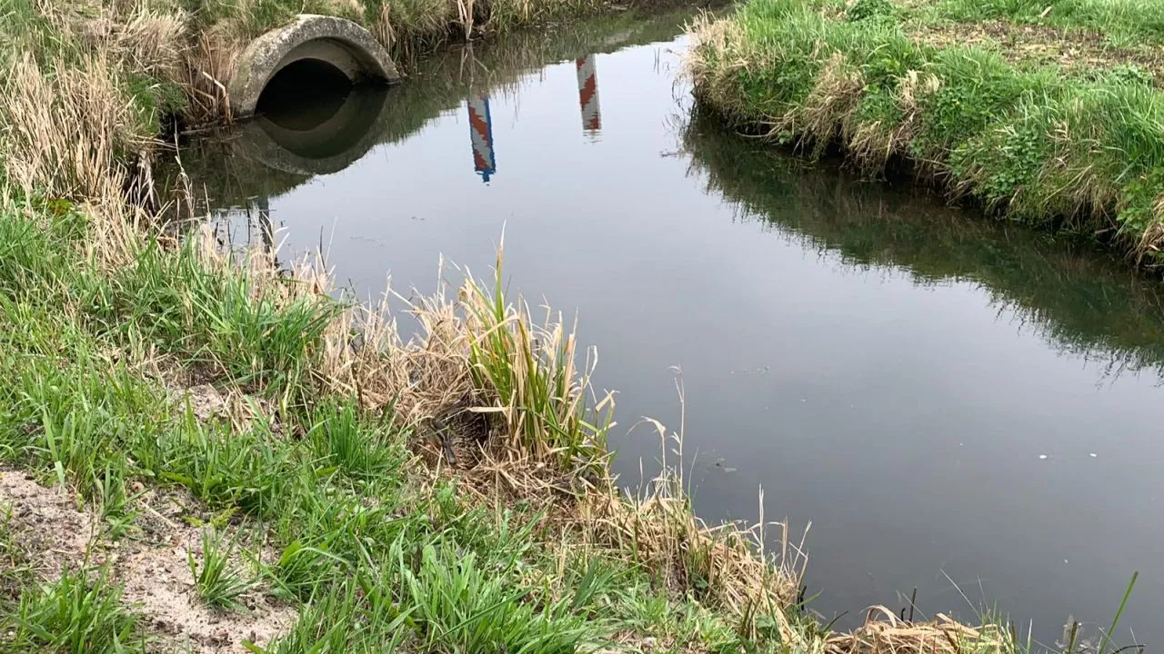 2019 03 23 buutschap holk dolly 2