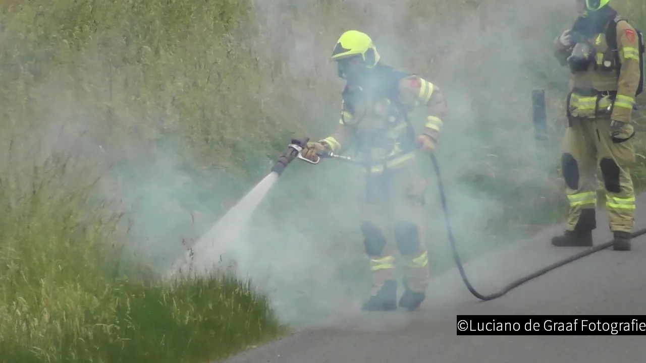 2019 06 03 bermbrand a28 3