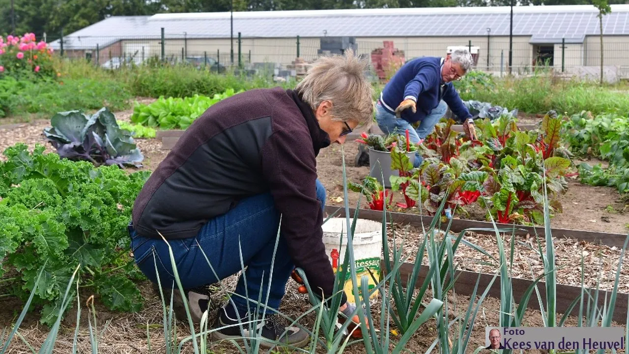 2019 09 24 moestuin uvv oogst 24 9