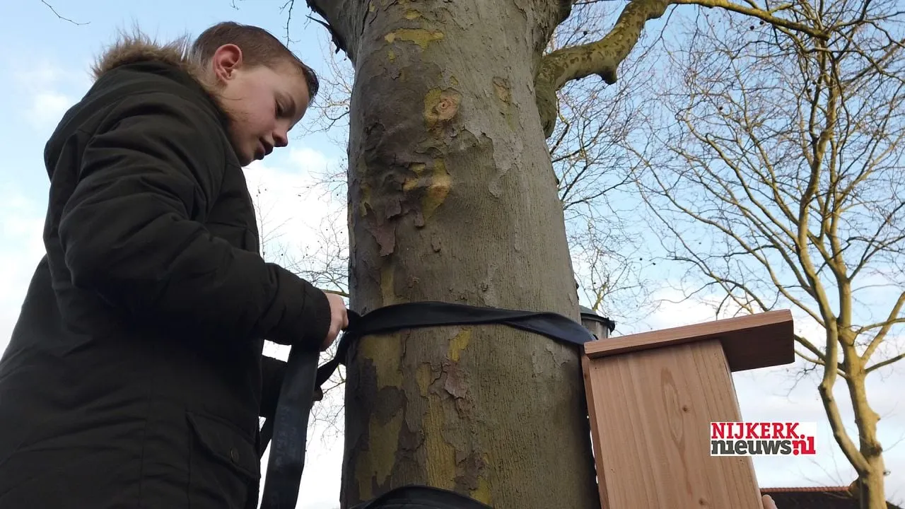 2020 02 19 eikenprocessierups vogelnest 08