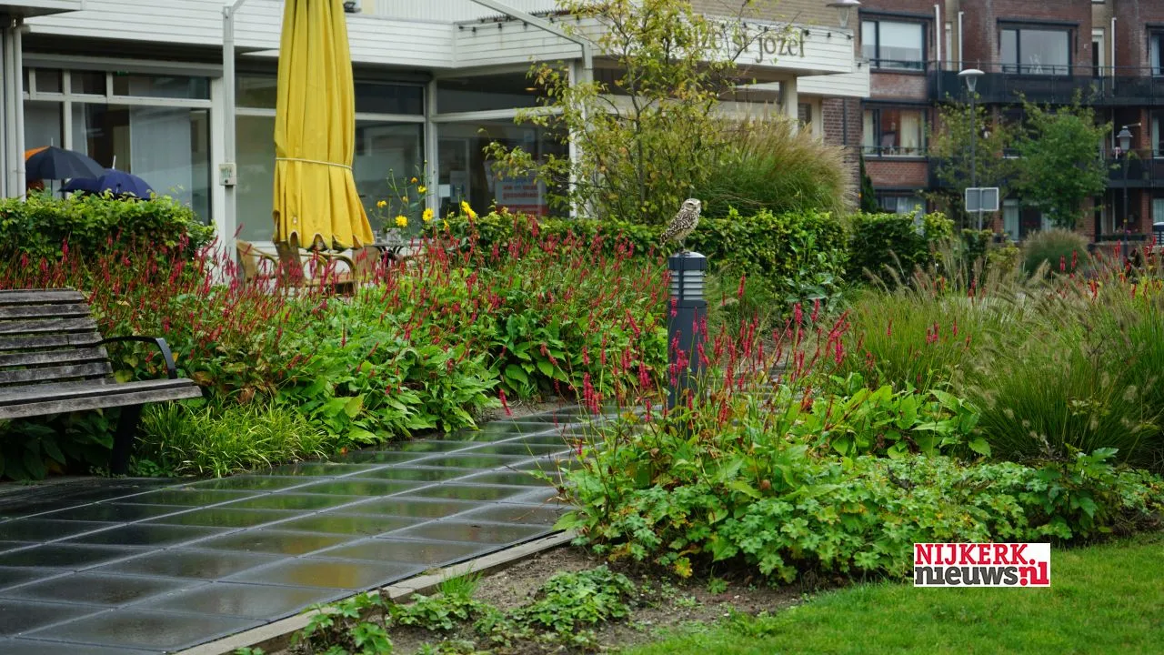 2020 10 03 settels roofvogels st jozef dsc08508