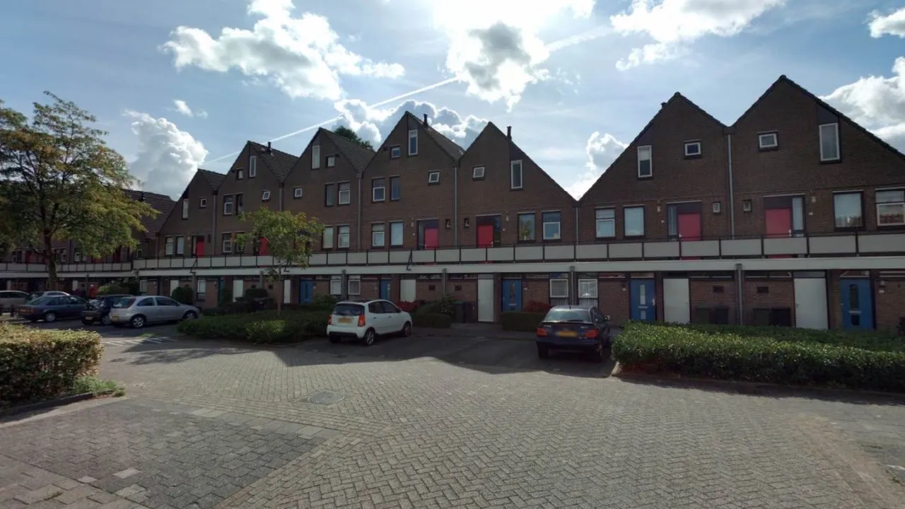 2020 11 23 boekweitveld 1