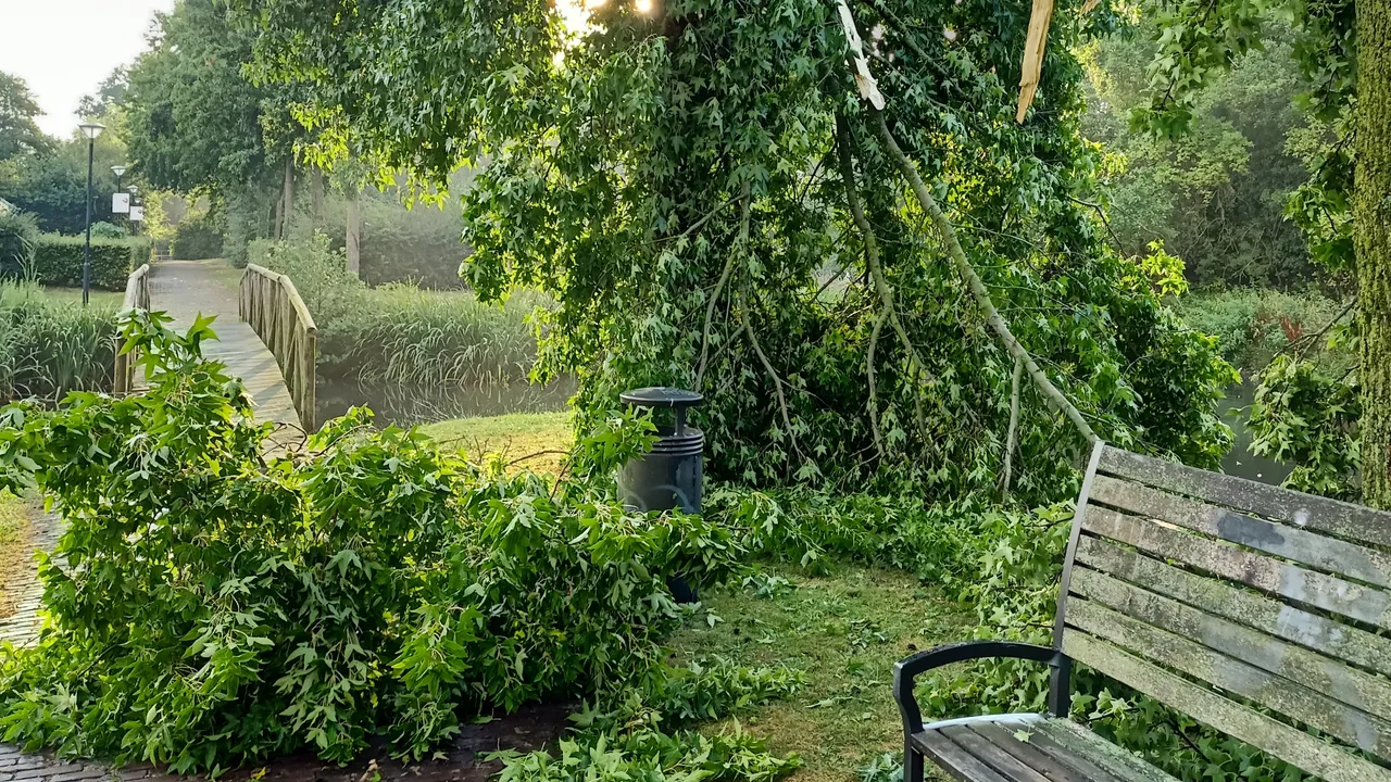 2022 08 15 boom stadspark schade 3