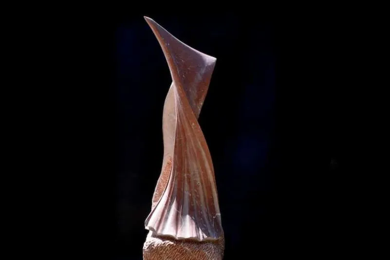 2022 12 08 coster the fragile memory of hope studio 3