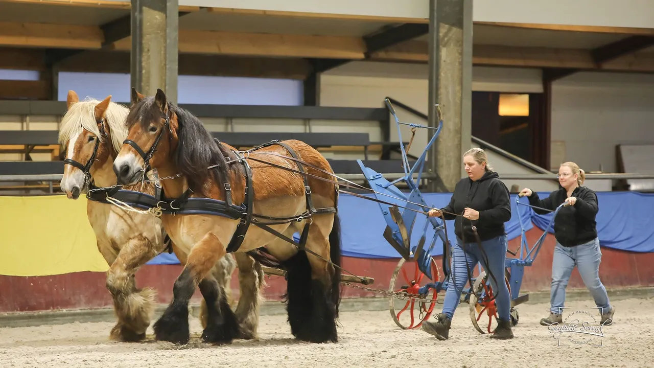 2023 12 17 luxool 07