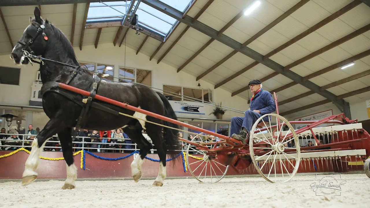 2023 12 17 luxool 19