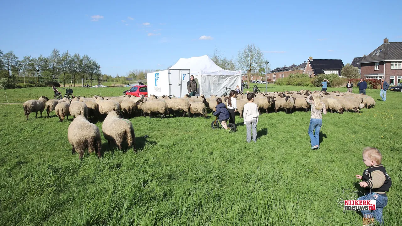 2024 04 10 meida ukkie dagen 07